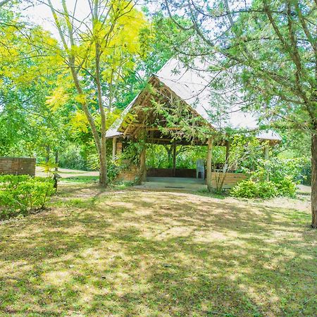 Usa River Meru Mbega Lodge מראה חיצוני תמונה