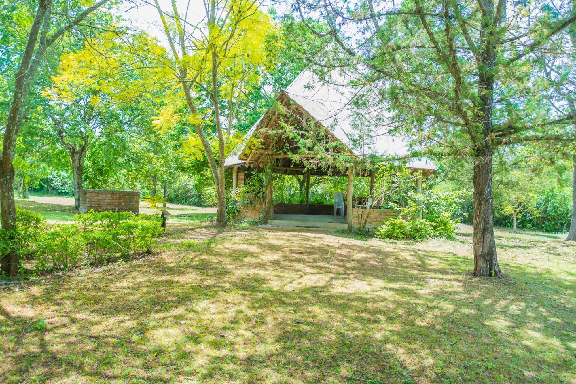 Usa River Meru Mbega Lodge מראה חיצוני תמונה