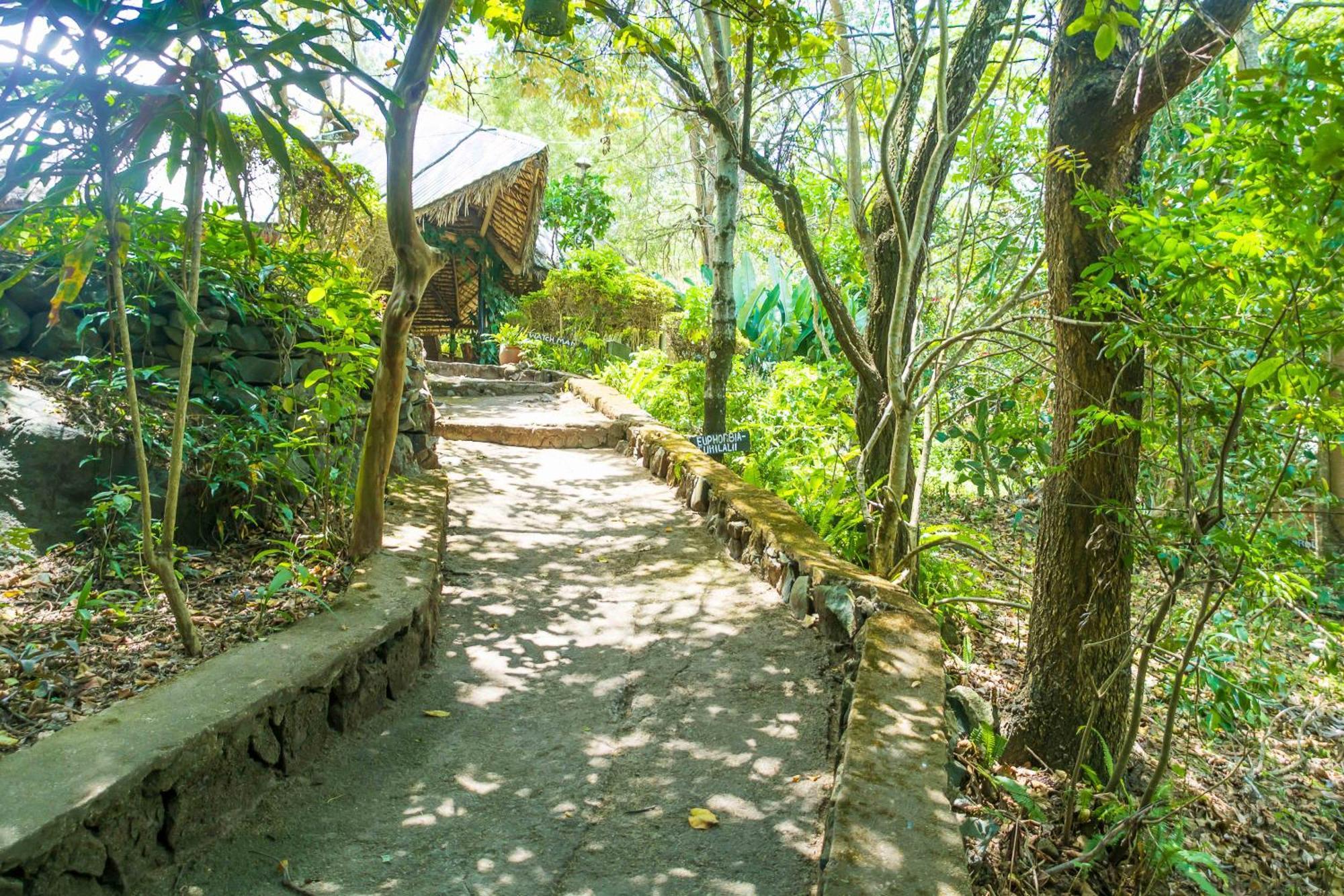 Usa River Meru Mbega Lodge מראה חיצוני תמונה