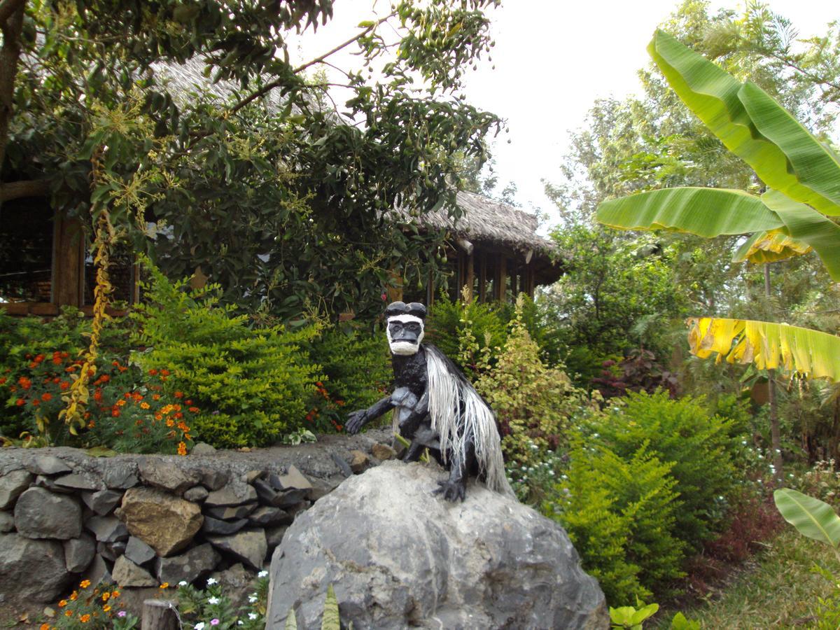 Usa River Meru Mbega Lodge מראה חיצוני תמונה