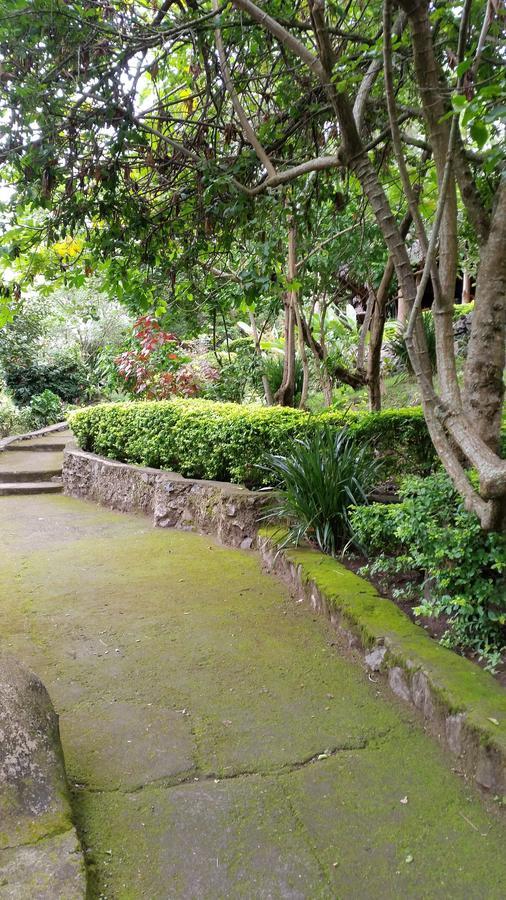 Usa River Meru Mbega Lodge מראה חיצוני תמונה