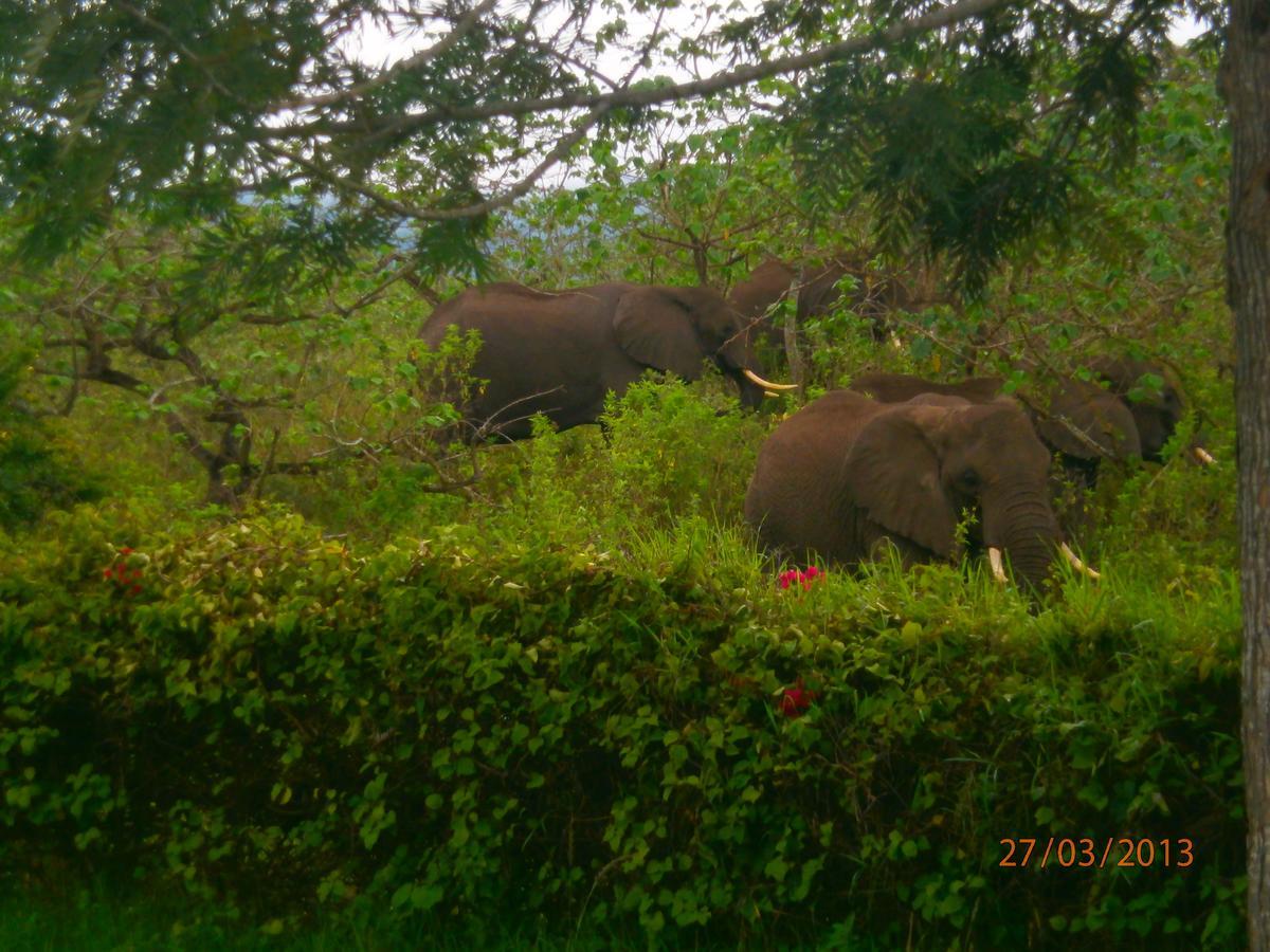 Usa River Meru Mbega Lodge מראה חיצוני תמונה