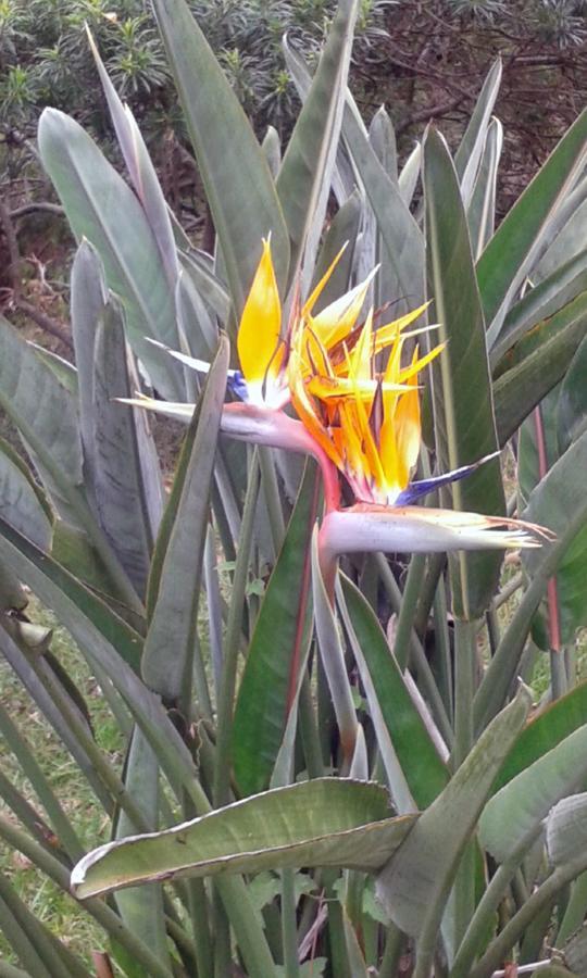 Usa River Meru Mbega Lodge מראה חיצוני תמונה